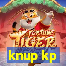knup kp-t89 driver